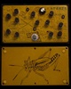 Conspiracy Atoner